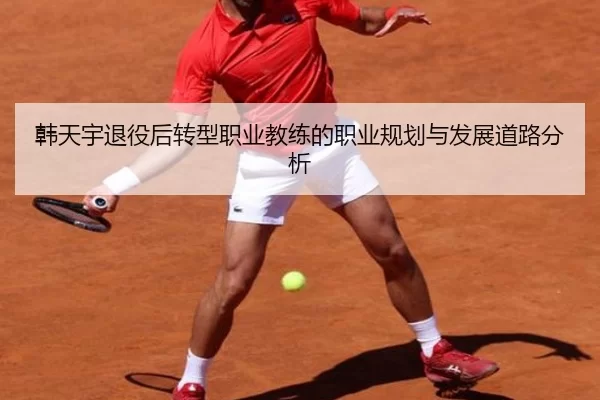 韩天宇退役后转型职业教练的职业规划与发展道路分析